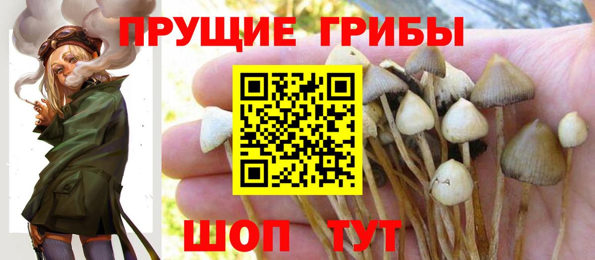 Калуга  Псилоцибиновые грибы Magic Shrooms  Галлюциногенные грибы MAGIC MUSHROOMS  Вход с VPN 